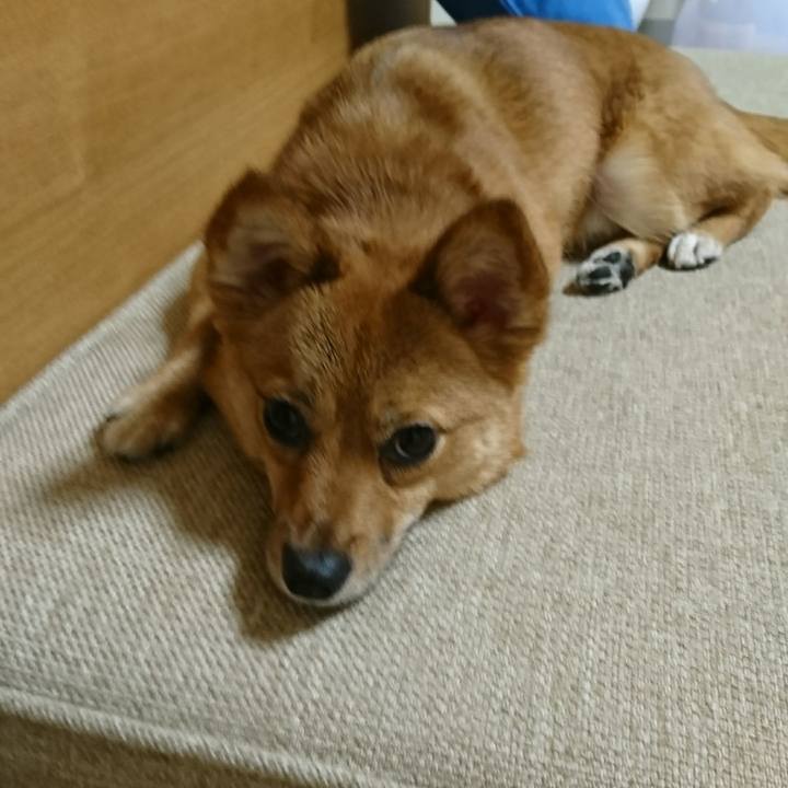 3d238232 66be 4728 8803 d35441ad68b7