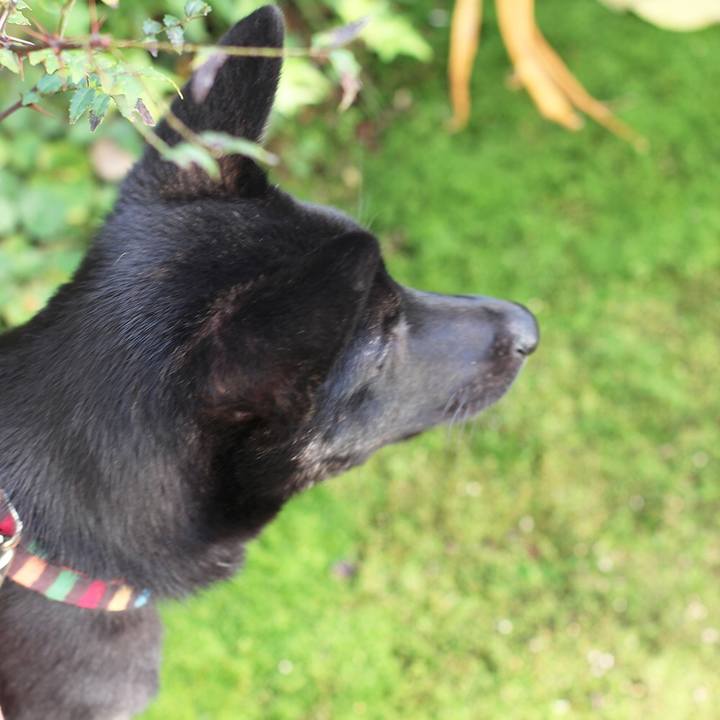 3d23bf33 bcdb 4ed0 b0d8 22bba1430258