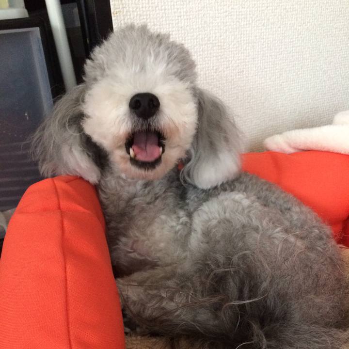 3d23cba3 8afe 4450 9d71 c643c13d8aad