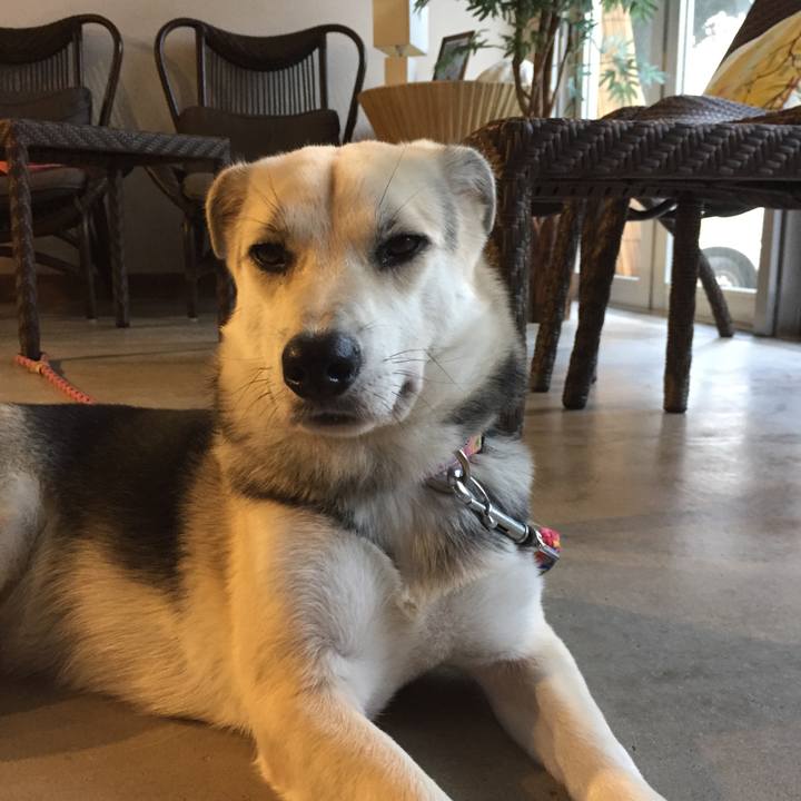 3d24da98 e3c0 4934 8176 5d7a65503ce4