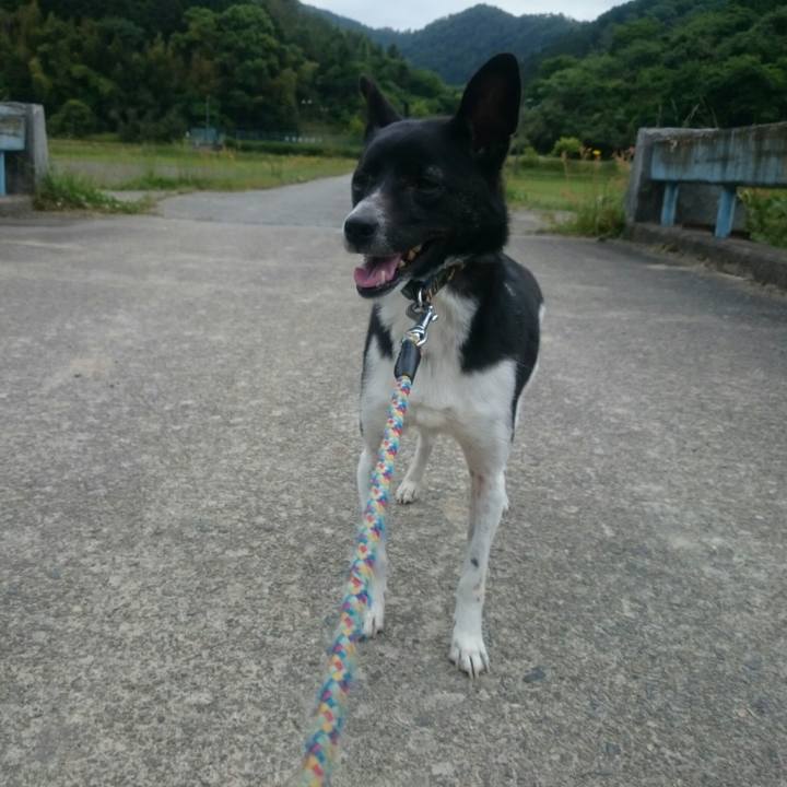 3d250b26 d5e6 4b57 adcb 9a4f00be0cf3