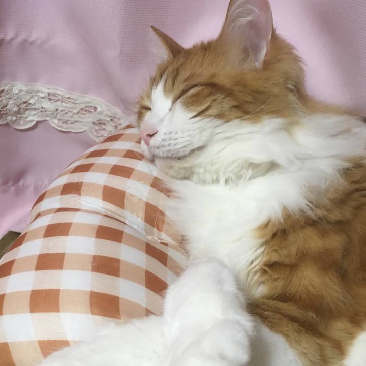 3d250f30 0f8a 4f85 a32a 441011dd0c96