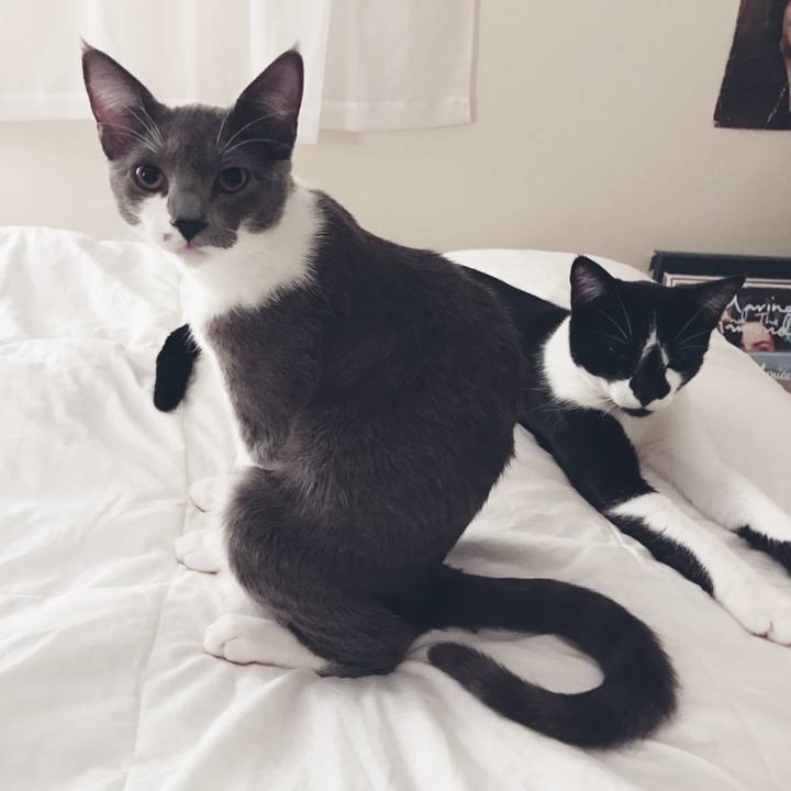 3d25a68d 88f6 48cc 891a 30e11926b114