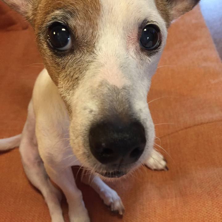 3d263f62 409b 4236 b788 590d4d3d7735