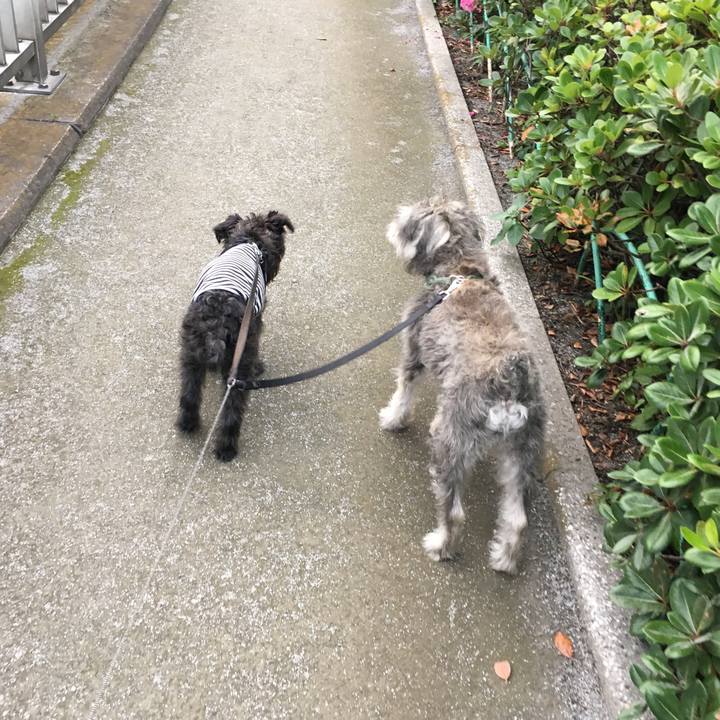 3d266be5 2141 44af 8a40 c3cd398ccc8f