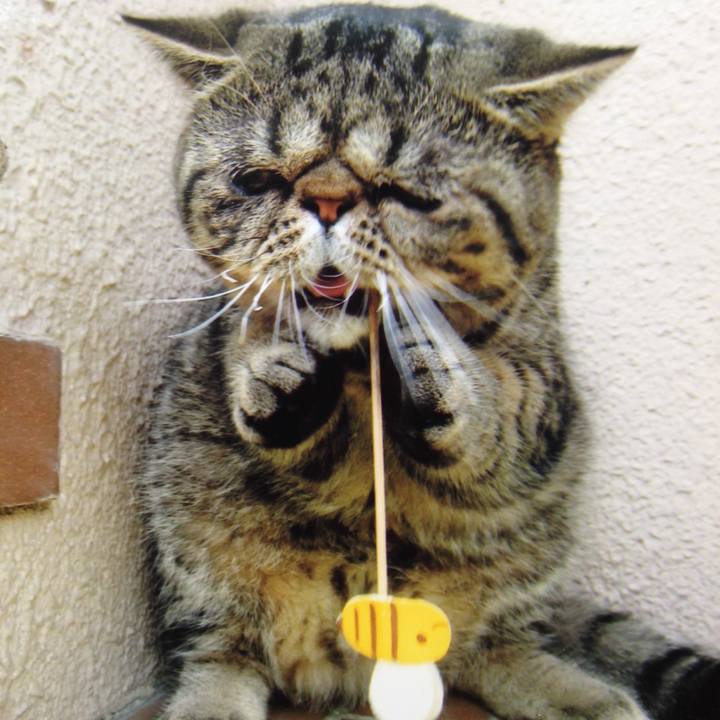 3d268113 5dc1 458c 8a19 5bb28c34dbc3