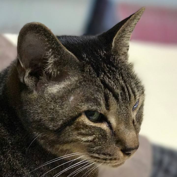 3d26b087 e90c 472b 81e9 b130ae508a91