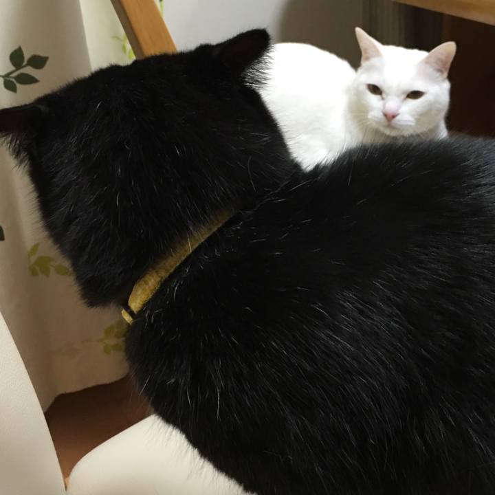 3d276a96 fec9 4e1e b6a2 7e2ea9773464