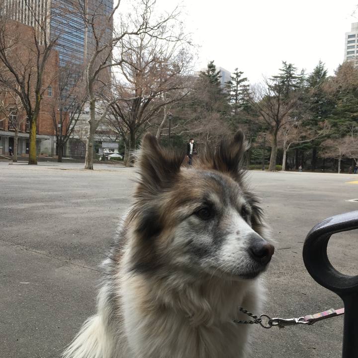 3d278cfc b6b1 49fa 8ad0 85fb180632df