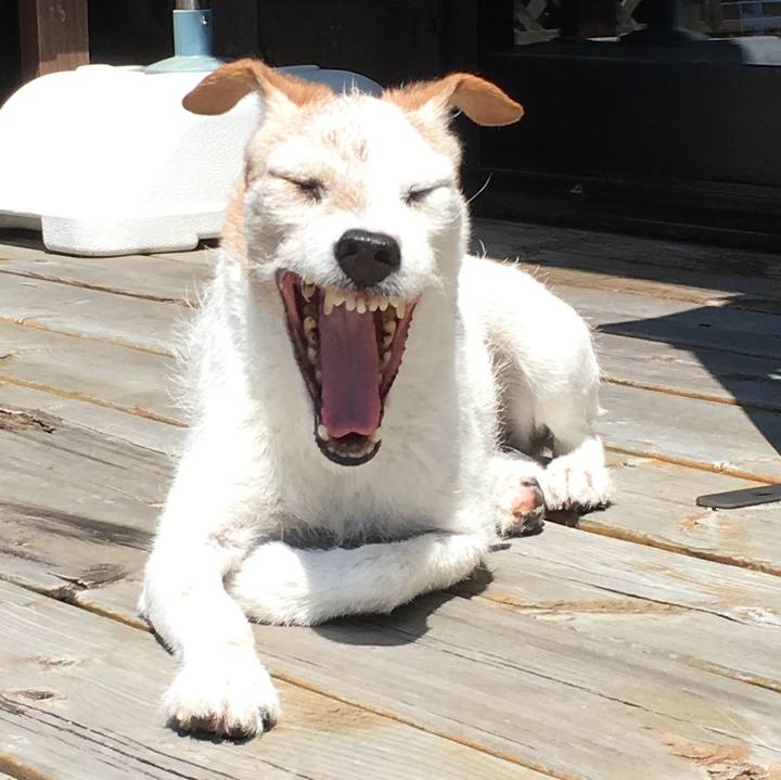 3d27fbe6 19c9 4a92 af68 b118e4a44ffa