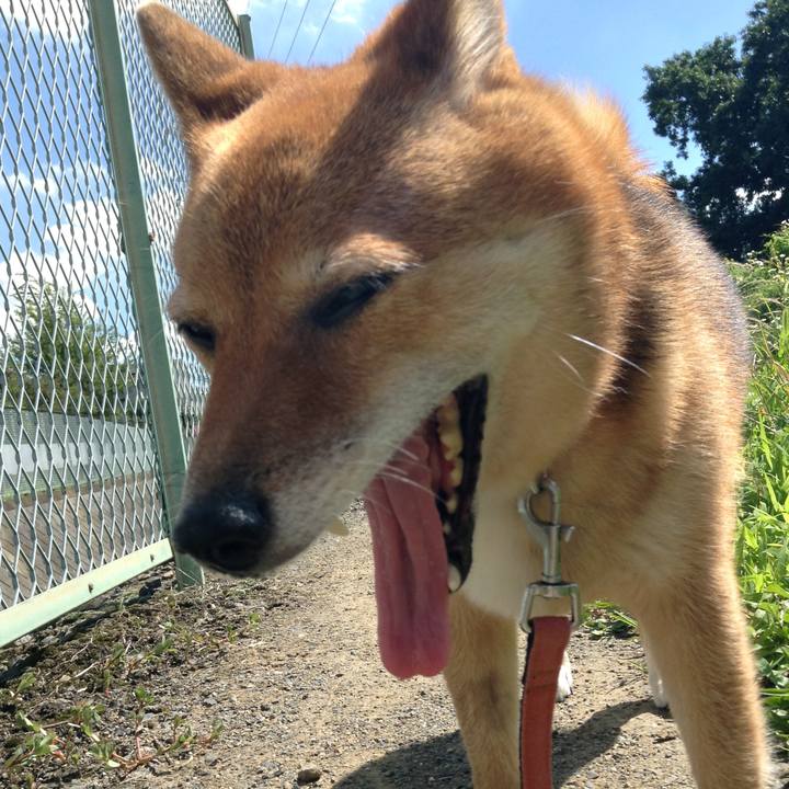 3d282a5f 41ed 494e abb0 92f5e33b3b1f