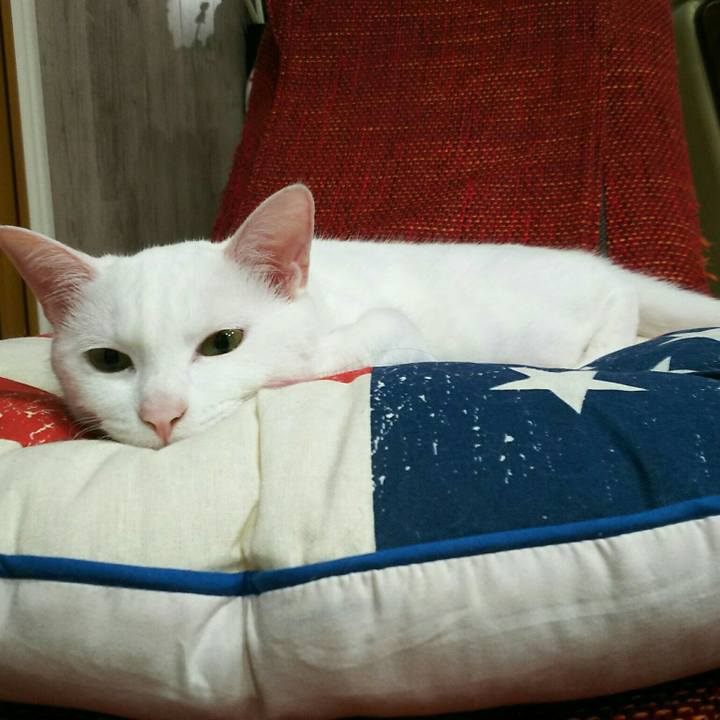 3d28a71c 1068 4f16 85f5 2e132aa0e109