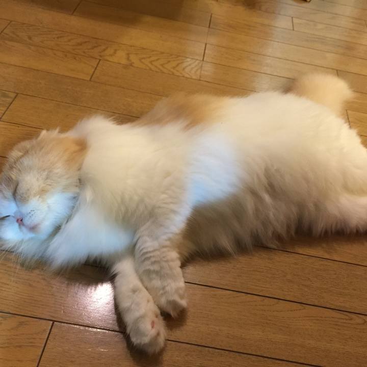 3d28cc20 7efb 4814 97d6 72dbac369122