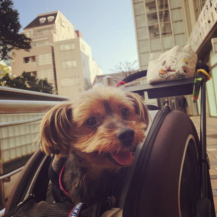 3d29527b cc35 4ef7 96de ff82b45b46fa