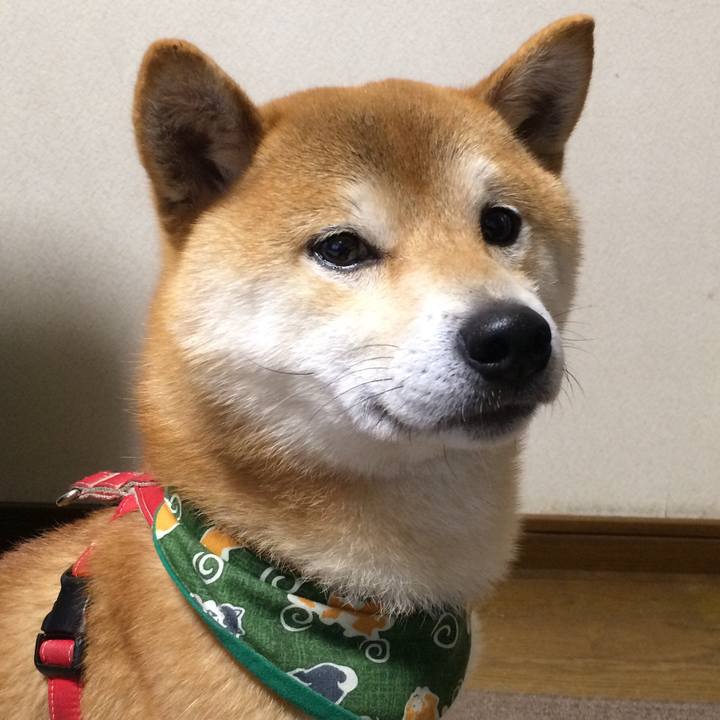 3d2993c3 62f3 4cf4 92e1 4e8ef124eb31