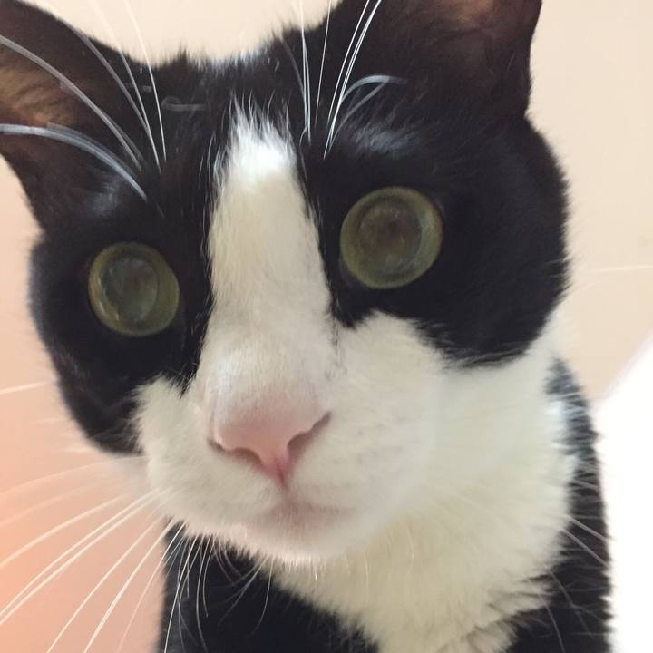 3d29af0e baaf 4bf3 828b 9760cccb1d4d