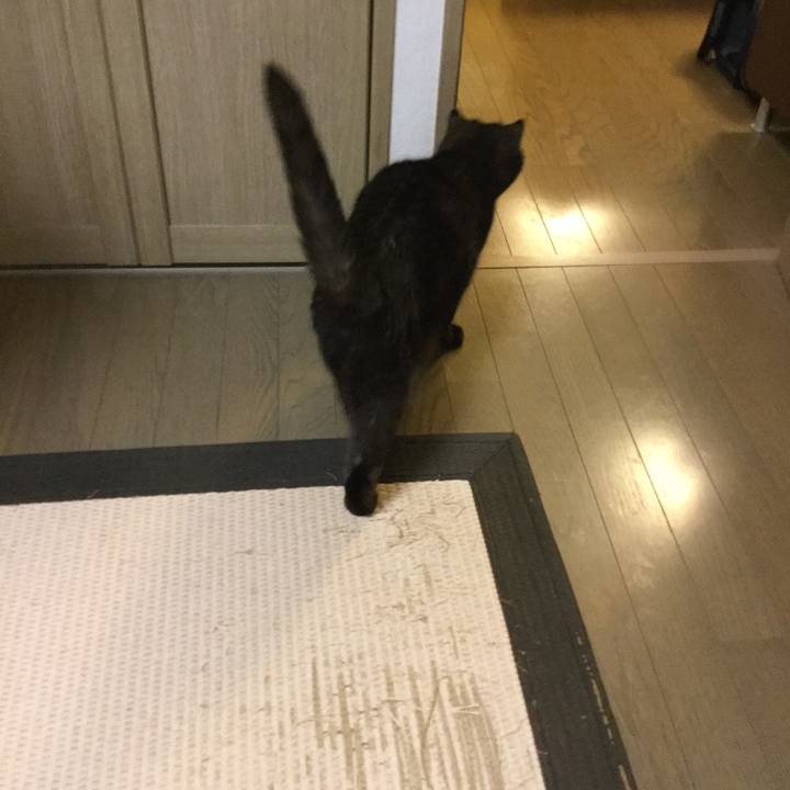 3d2a8072 bfe1 431b 881d 872aa1cb34d3