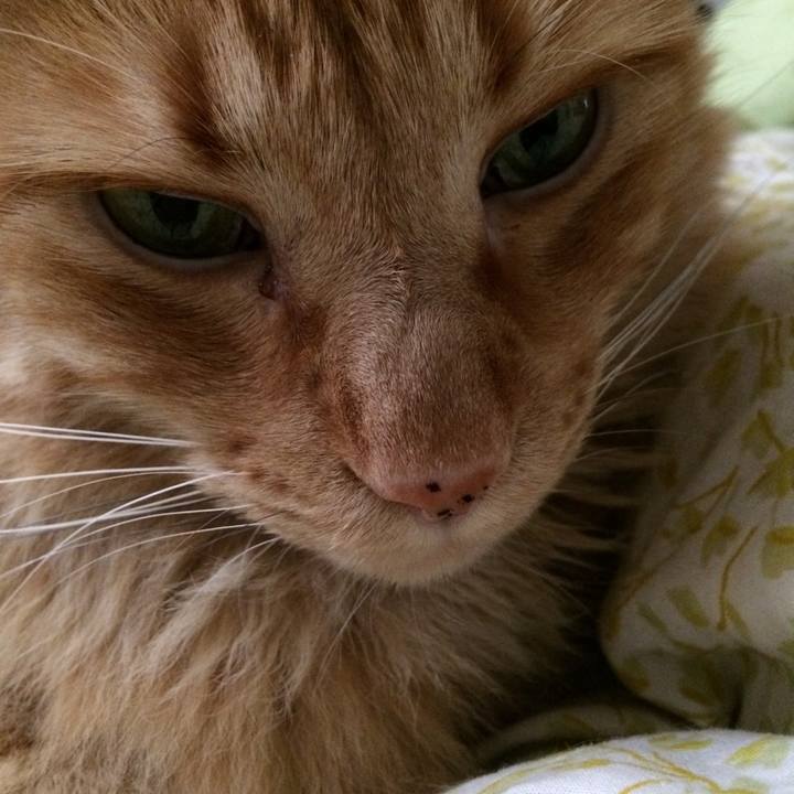 3d2aa49e 022e 404e 8498 f603ac953eb0