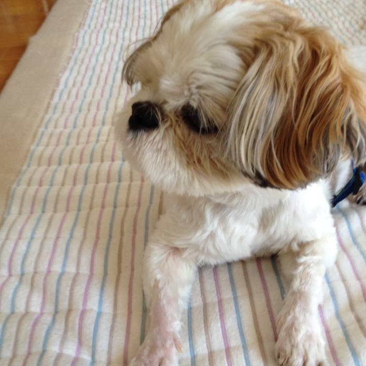 3d2aa933 955f 4450 afeb c2df6085d8b6