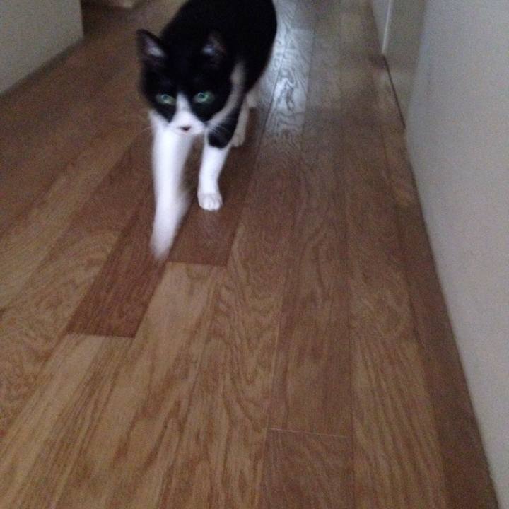 3d2aface cb19 4d00 9f33 1e06ca87fc34