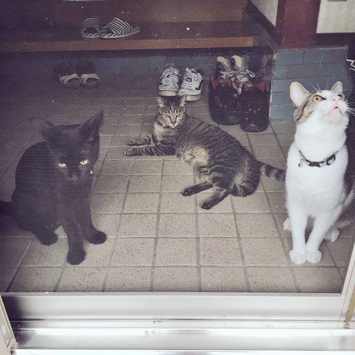 3d2b21a0 0458 40a2 a384 79e561befd1b