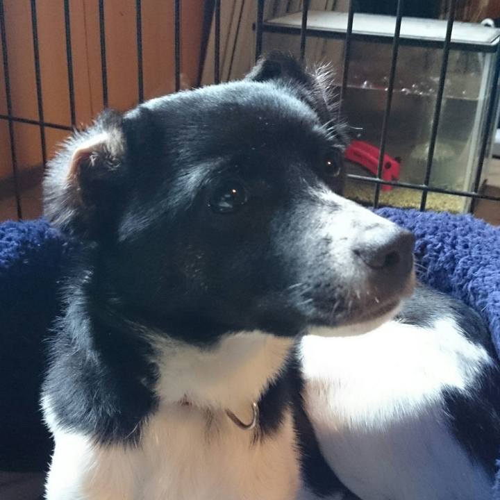 3d2b26d5 d54d 4b1f b31c c60ff02ac32a