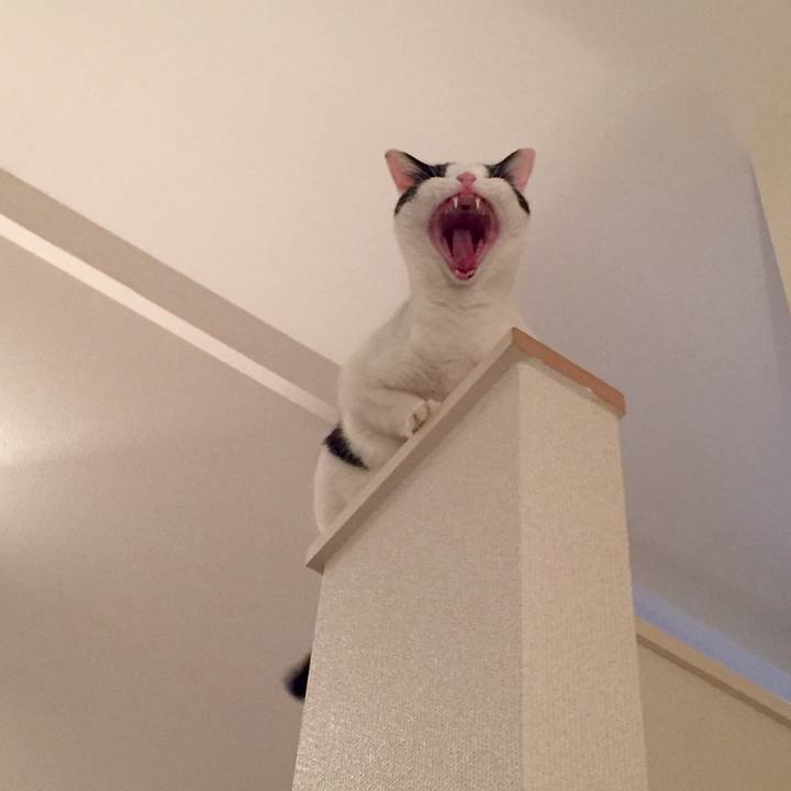 3d2c9bcb c149 45aa 9f62 e06512243126