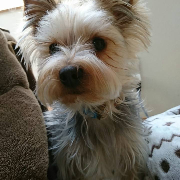 3d2cdedc 48a0 42e5 9c9f e92f4783e95a