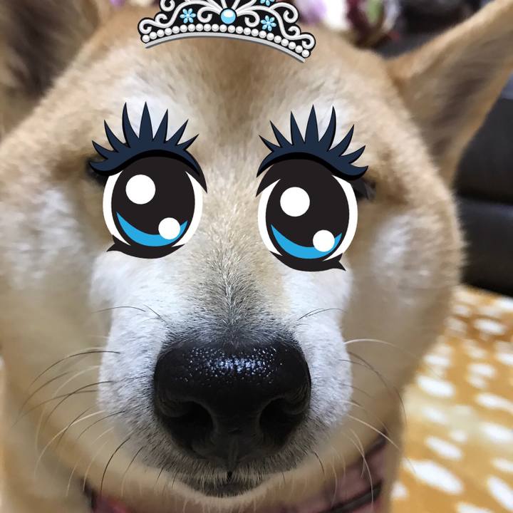 3d2d1f7b 8ff0 41cd 9b73 75a6533809cd