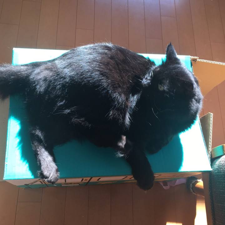 3d2d2b1d 9d99 43f2 b77d 6c49b00615c9