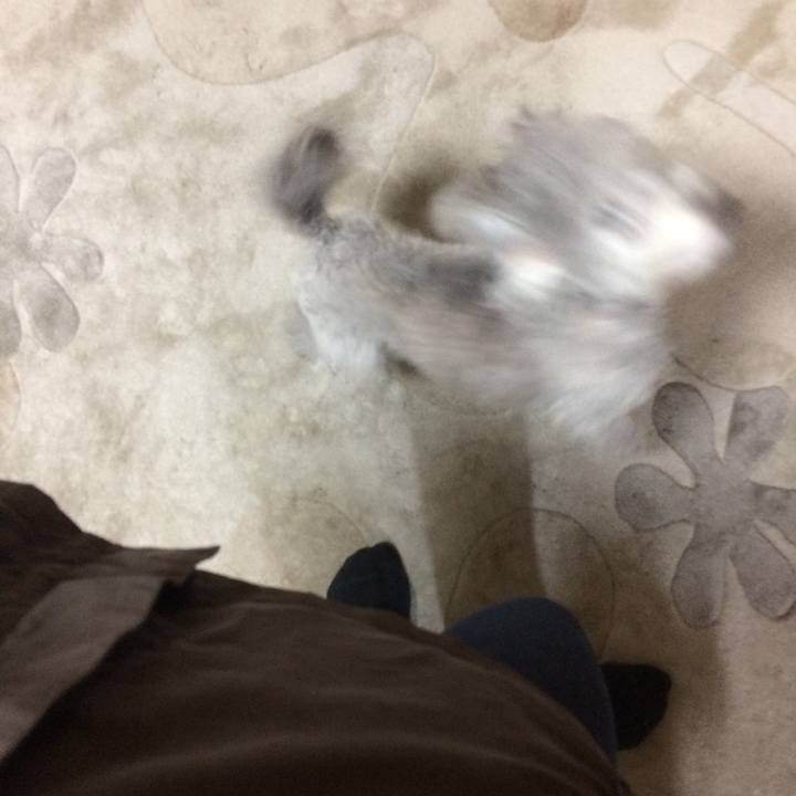 3d2d5c6e 4f94 4f46 92a9 e23886a50a3b