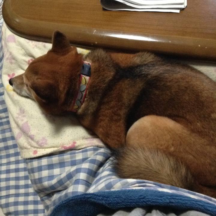 3d2d97da b4f0 4afd b6bf e89a2e12672b