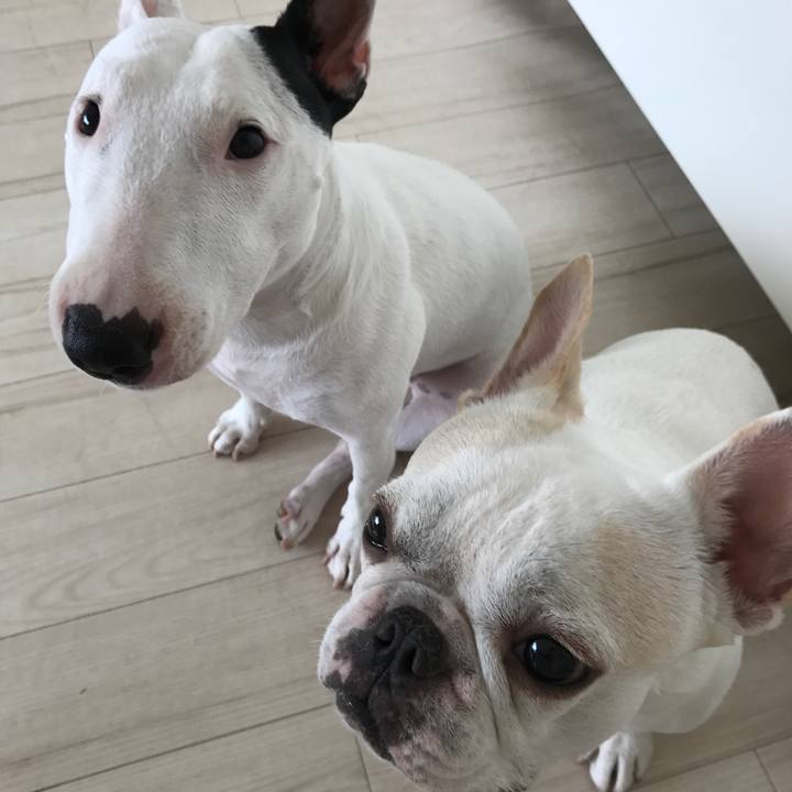 3d302d9e ff45 4e12 b6d3 472f21f98790