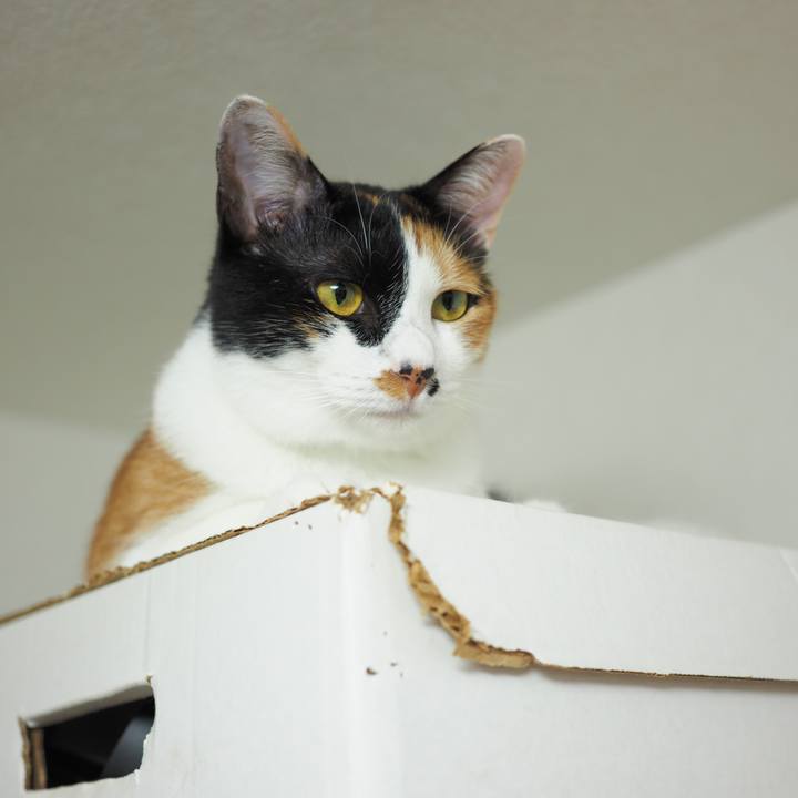 3d306eff e239 47ed a0d2 474a50e94105