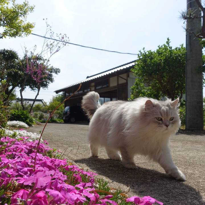 3d30785e 9122 4600 90fc ee4aa3cd1880