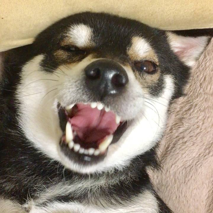 3d30d2a9 028c 448c 8ba3 602c196bca21