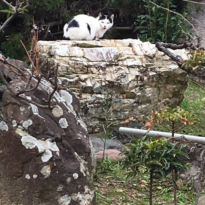 3d3143c8 042d 42fc 9351 13f8a3ccc2cf