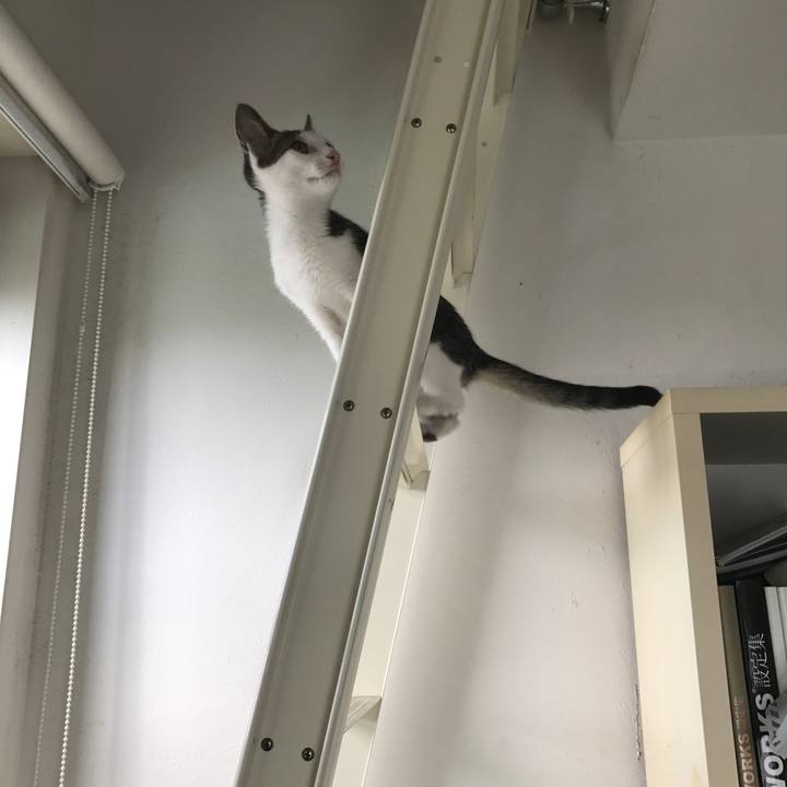 3d315890 015f 4f86 8923 0c9064810451