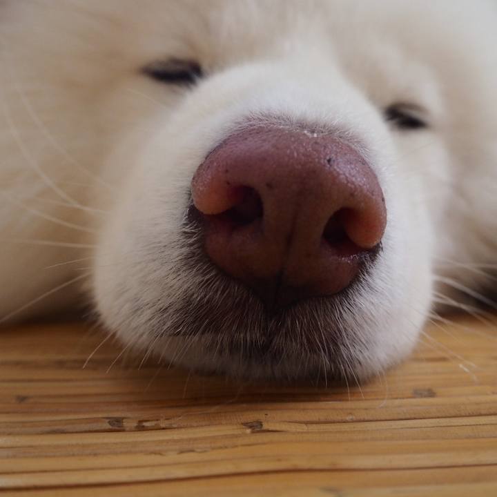 3d3158d2 22bb 44cc 9bc4 9809a3846a15