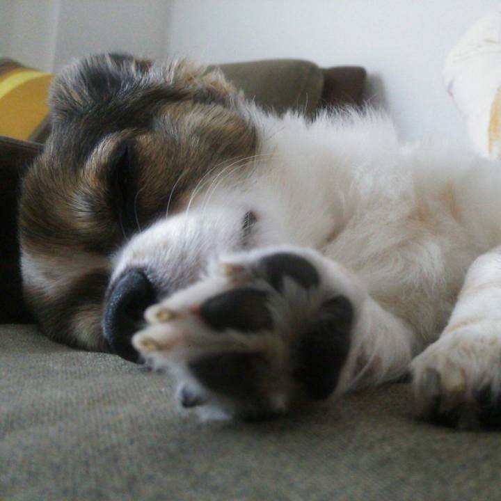 3d31a416 fc31 4e40 8281 96a688a80973