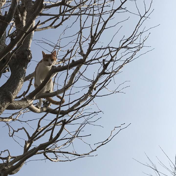 3d31e168 c861 4687 be79 e06d545a2526