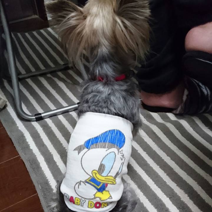 3d31e5b3 af4b 4182 b7bd ef7918cc47a2