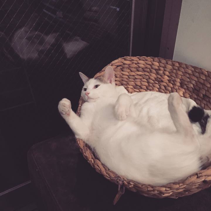 3d321737 2723 4ed8 88b4 f85571e46fd1