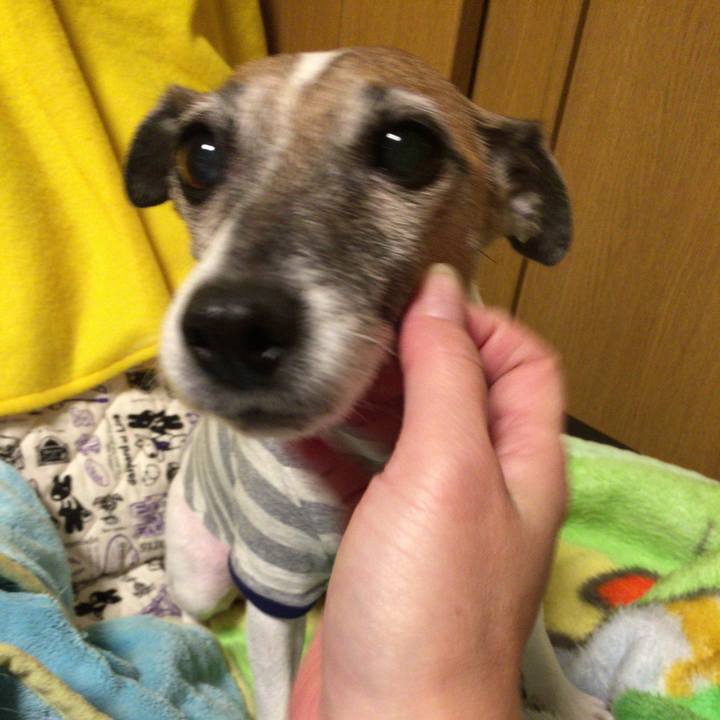 3d324957 8c12 46a9 8992 bdcbc7c07055