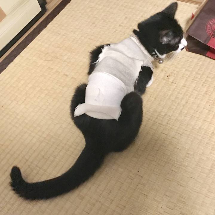 3d32a687 7287 4790 8aa4 1b0d36d6b9f2