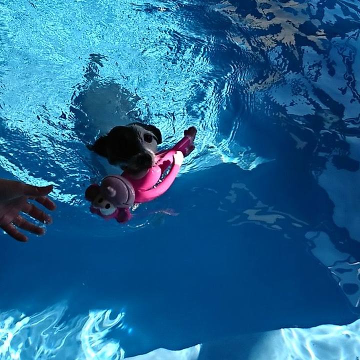 3d32b6d6 4128 4e3d b769 9e671ab21c88