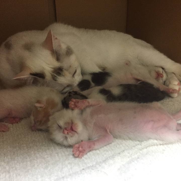 3d32be84 2ea7 45e9 8a29 d08ef29b9221