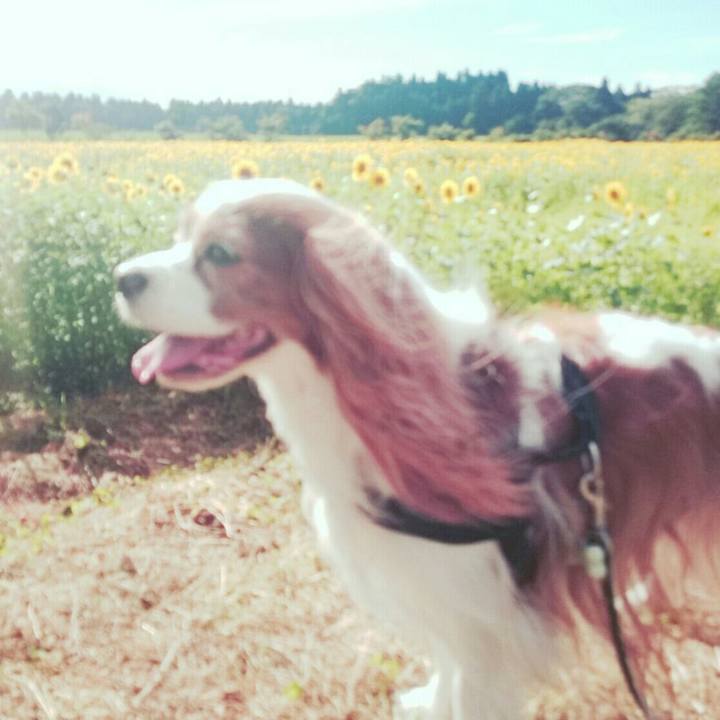 3d32d882 e166 4dca a7d1 267a06c6bf70