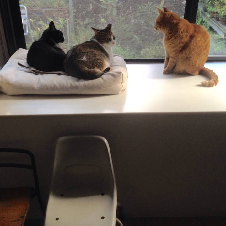 3d33c1a1 646f 45b2 8aae feee635bf19a