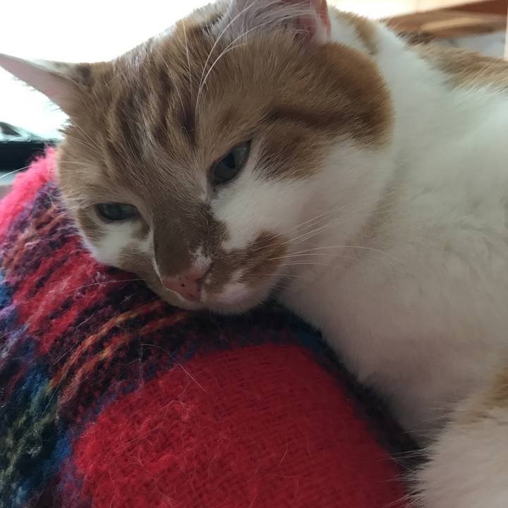 3d33e4a7 741d 4f89 a5a9 f1e709ae296c